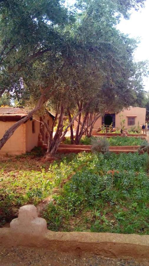 Eco-Ferme Tamalait Skoura Hotel Exterior photo
